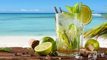 Click image for larger version

Name:	Lime_Mojito_Cocktail_Summer_Highball_glass_527311_1920x1080.jpg
Views:	1
Size:	13.8 КБ
ID:	3345705