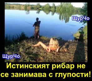 Click image for larger version

Name:	1z.jpg
Views:	1
Size:	20.7 КБ
ID:	3602564