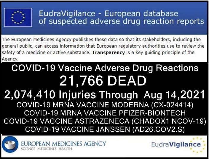 Click image for larger version

Name:	14082021-eu-injuries-EudraVigilance.jpg
Views:	1
Size:	77.0 КБ
ID:	3797671