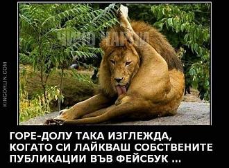 Click image for larger version

Name:	272645042_4957965267568276_195037424766890744_n.jpg
Views:	1
Size:	79.6 КБ
ID:	3861123
