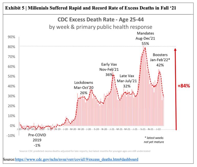 Click image for larger version

Name:	Excess-deaths-age-25-to-44.jpg
Views:	1
Size:	60.1 КБ
ID:	3965531