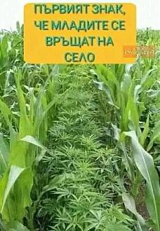 Click image for larger version

Name:	selo.jpg
Views:	1
Size:	50.9 КБ
ID:	3968048