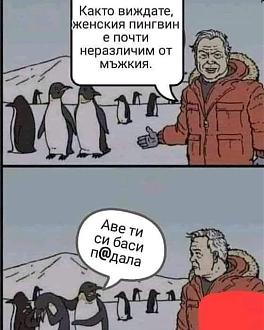 Click image for larger version

Name:	pingvin.jpg
Views:	1
Size:	47.7 КБ
ID:	3984009