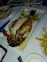 Click image for larger version

Name:	fish_greece.jpg
Views:	1
Size:	7.4 КБ
ID:	4092978