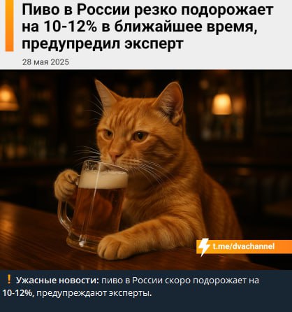 Click image for larger version

Name:	IMG_20250530_071839_590.jpg
Views:	1
Size:	34.7 КБ
ID:	4274907