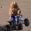 Click image for larger version

Name:	bearfw.jpg
Views:	1
Size:	7.8 КБ
ID:	3036170