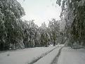 Click image for larger version

Name:	18102011012.jpg
Views:	1
Size:	92.0 КБ
ID:	3036672