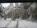 Click image for larger version

Name:	18102011014.jpg
Views:	1
Size:	93.2 КБ
ID:	3036673