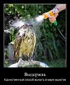 Click image for larger version

Name:	demotivatory_na_sredu_28_foto_19.jpg
Views:	1
Size:	75.9 КБ
ID:	3036704