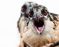 Click image for larger version

Name:	fotopodborka_chetverga_84_foto_22.jpg
Views:	9
Size:	44.9 КБ
ID:	3036838