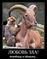 Click image for larger version

Name:	demotivatory_na_sredu_35_foto_7.jpg
Views:	1
Size:	56.7 КБ
ID:	3036840