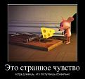 Click image for larger version

Name:	demotivatory_na_chetverg_30_foto_22.jpg
Views:	1
Size:	48.2 КБ
ID:	3037147