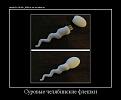 Click image for larger version

Name:	s3img_33088431_44_1.jpg
Views:	1
Size:	27.5 КБ
ID:	3037316
