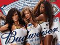 Click image for larger version

Name:	Budweiser-Beer.jpg
Views:	1
Size:	100.6 КБ
ID:	3037330