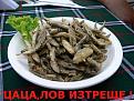 Click image for larger version

Name:	945223_10151599387809127_1400664152_n.jpg
Views:	8
Size:	40.7 КБ
ID:	3038580