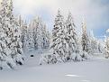 Click image for larger version

Name:	b_1137440649_Winter.jpg
Views:	1
Size:	66.9 КБ
ID:	3039205