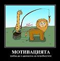 Click image for larger version

Name:	1011990_696453547054043_1177969619_n.jpg
Views:	1
Size:	16.9 КБ
ID:	3039389