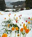 Click image for larger version

Name:	1939860_659268020805930_793959863_n.jpg
Views:	1
Size:	56.4 КБ
ID:	3039602