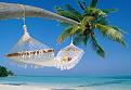 Click image for larger version

Name:	travel-business-hammock-beach1.jpg
Views:	1
Size:	97.1 КБ
ID:	3041309